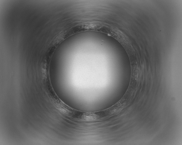 X0000073510510200608140938