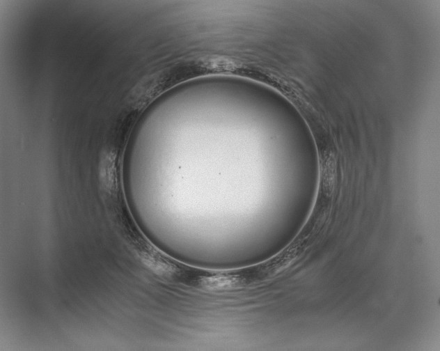 X0000073510511200608140938