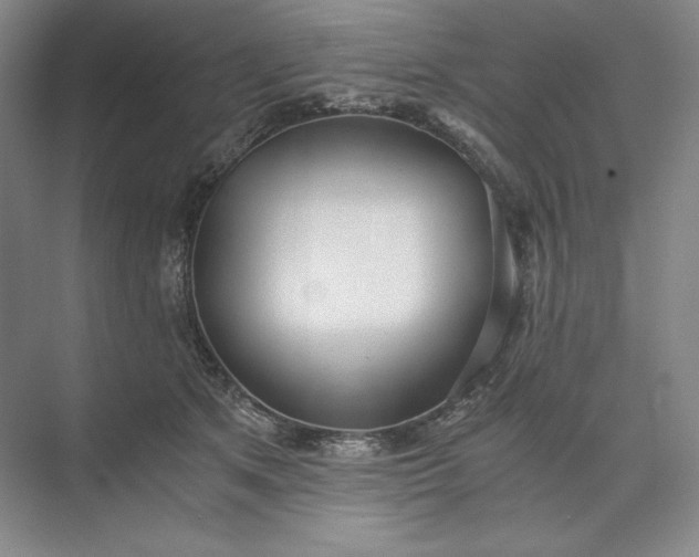 X0000073510513200608140937