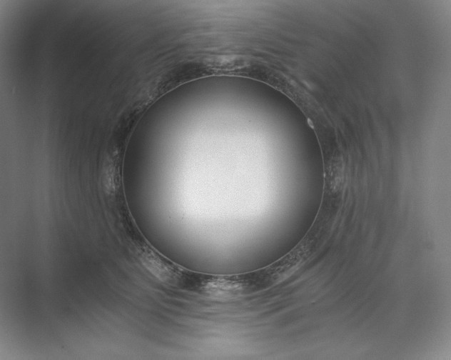 X0000073510515200608140937