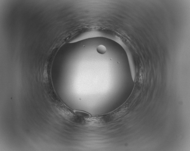 X0000073510516200608140937