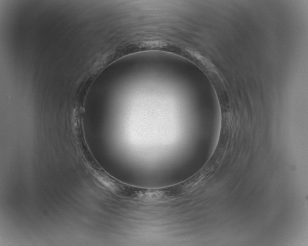 X0000073510517200608140937