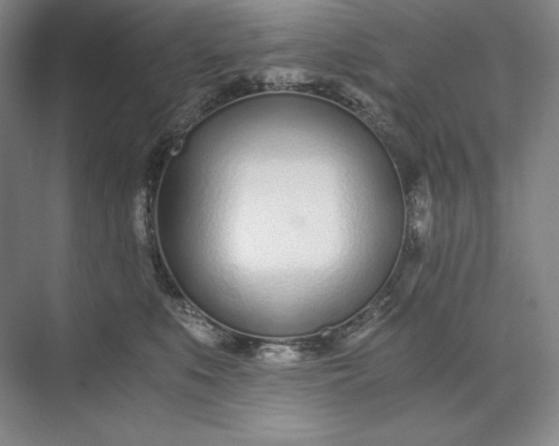 X0000073510519200608140937