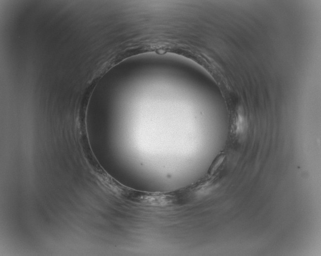 X0000073510524200608140937