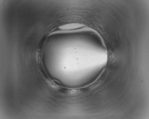 X0000073510527200608140937