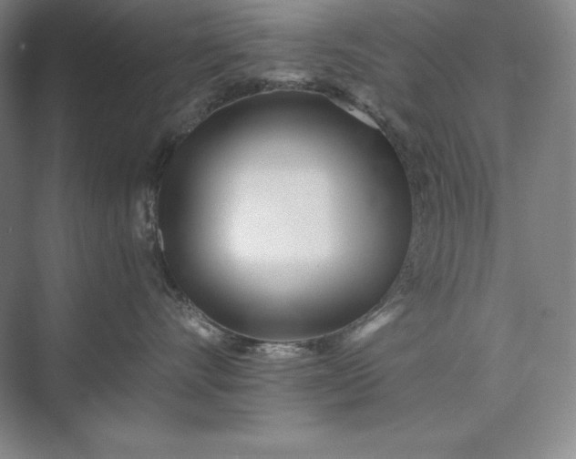 X0000073510528200608140937