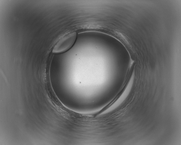 X0000073510531200608140936