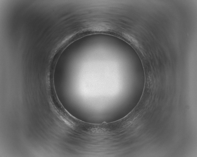 X0000073510535200608140937