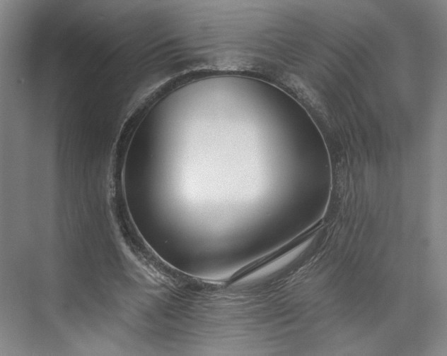 X0000073510536200608140937