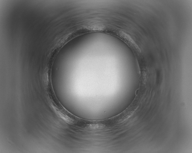 X0000073510541200608140937
