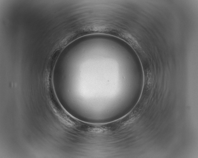 X0000073510542200608140937