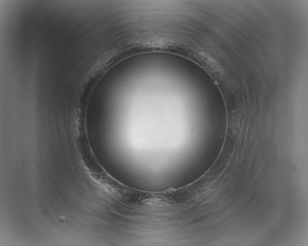 X0000073510544200608140937