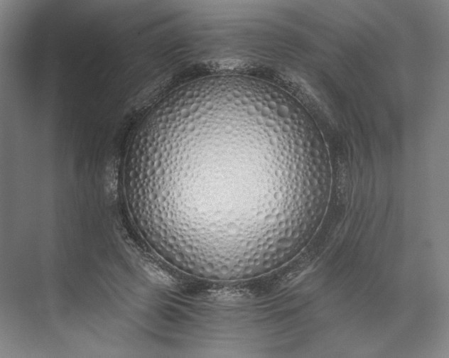 X0000073510545200608140937