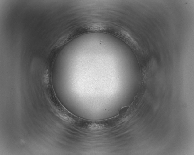 X0000073510549200608140937