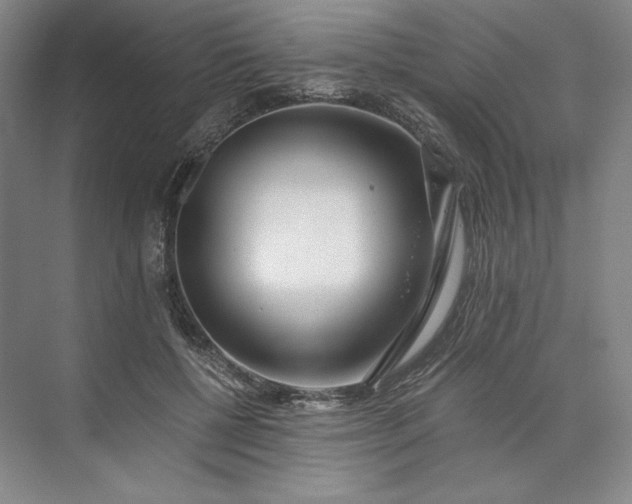 X0000073510552200608140937