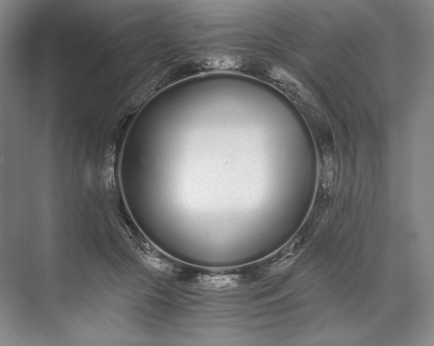 X0000073510553200608140937
