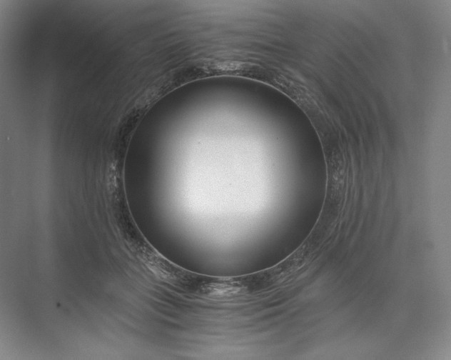 X0000073510555200608140937