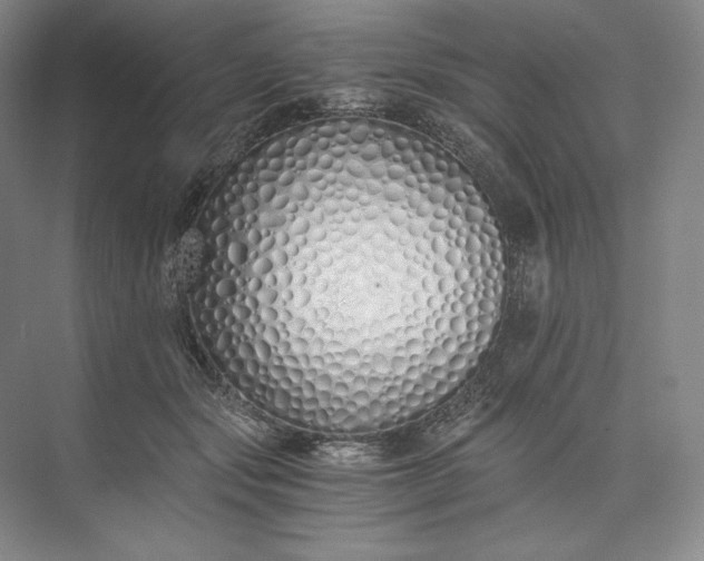 X0000073510557200608140937