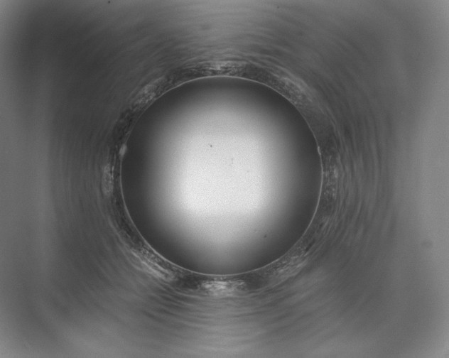X0000073510558200608140937