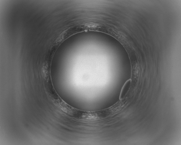 X0000073510559200608140937