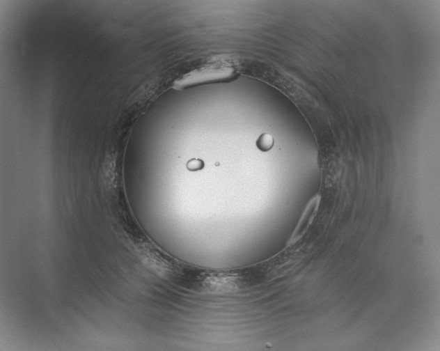 X0000073510560200608140937