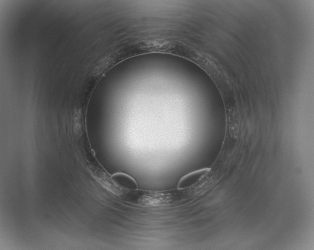 X0000073510563200608140937