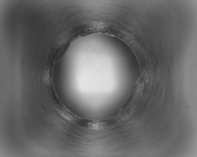 X0000073510564200608140937