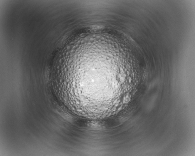 X0000073510565200608140937