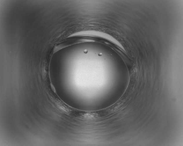 X0000073510566200608140937