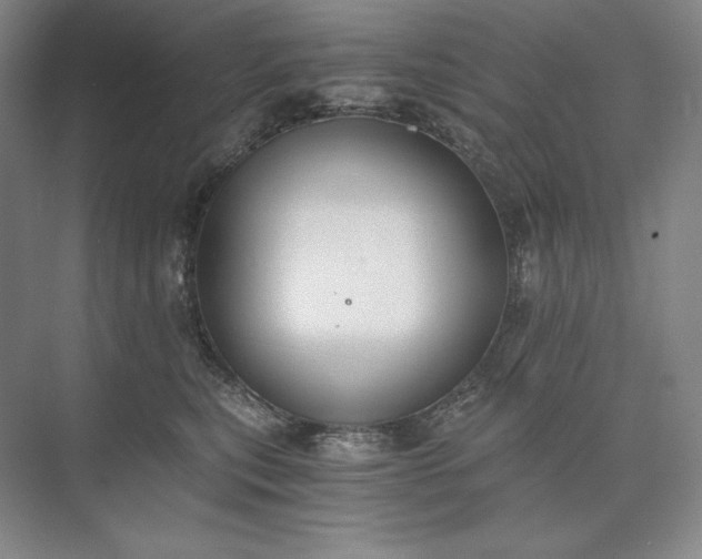 X0000073510567200608140937