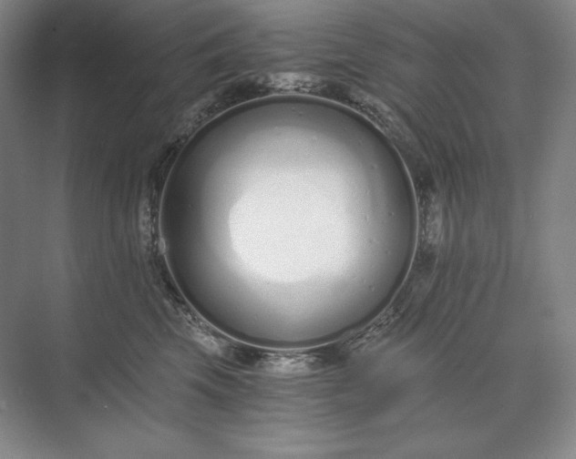 X0000073510569200608140937