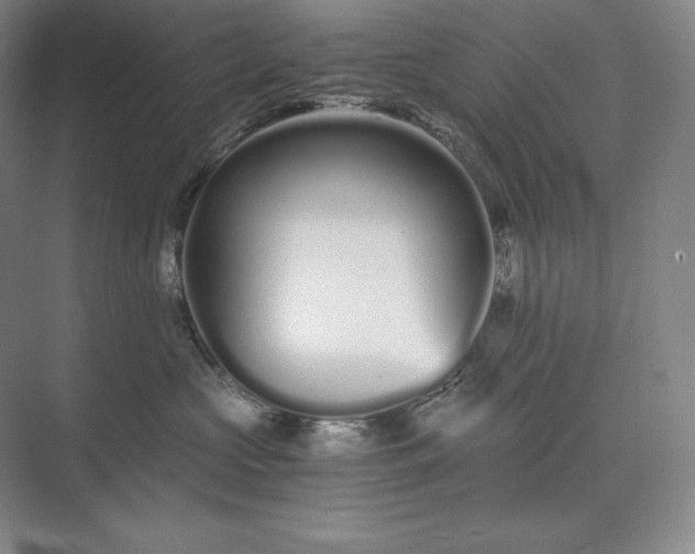 X0000073510573200608140937