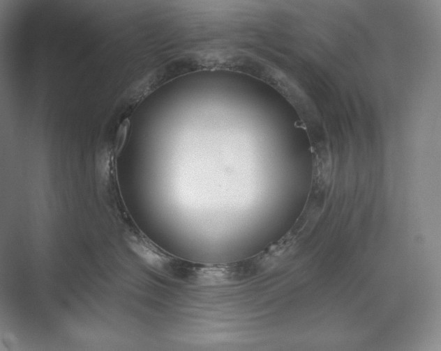 X0000073510574200608140937