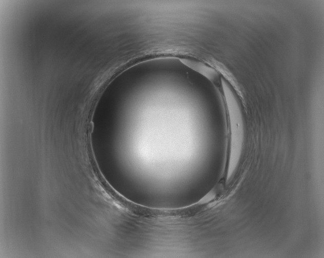 X0000073510577200608140936