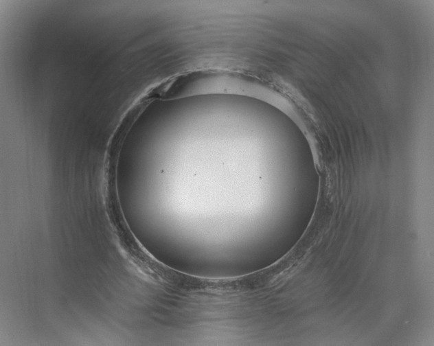 X0000073510580200608140936