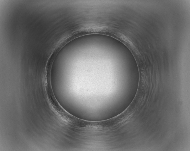 X0000073510582200608140936