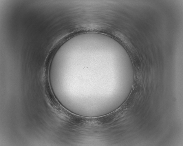 X0000073510583200608140936