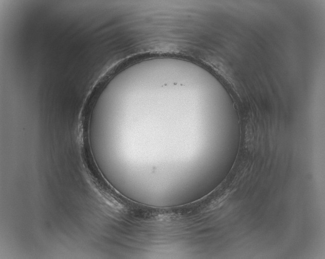 X0000073510584200608140936
