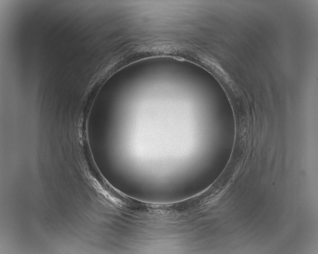 X0000073510585200608140936