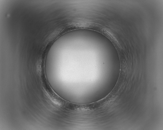 X0000073510586200608140936