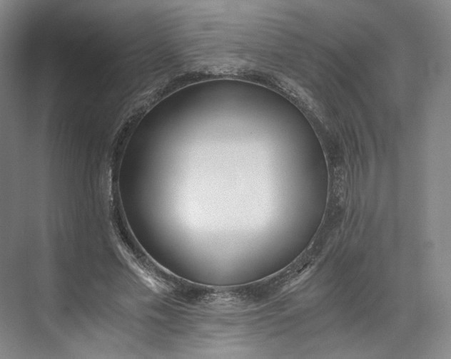 X0000073510589200608140936