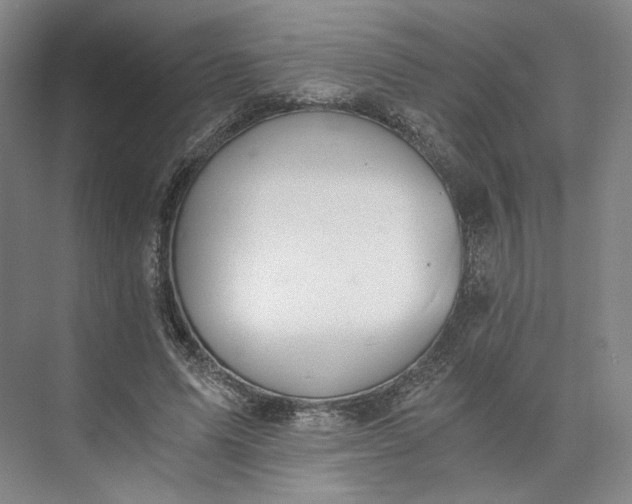 X0000073510591200608140936