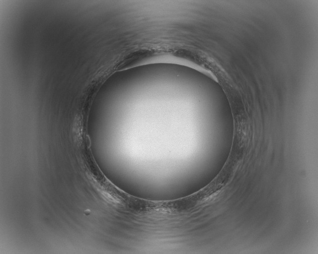 X0000073510593200608140936