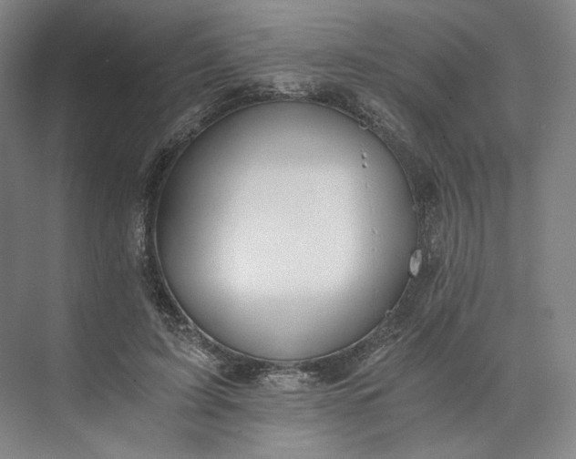 X0000073510595200608140936
