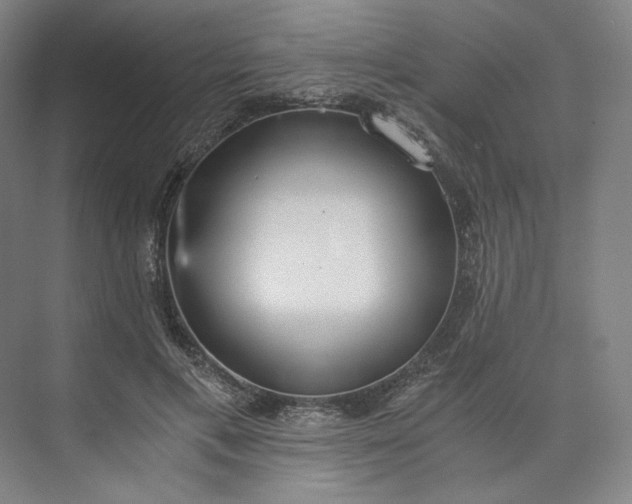 X0000073510597200608140936