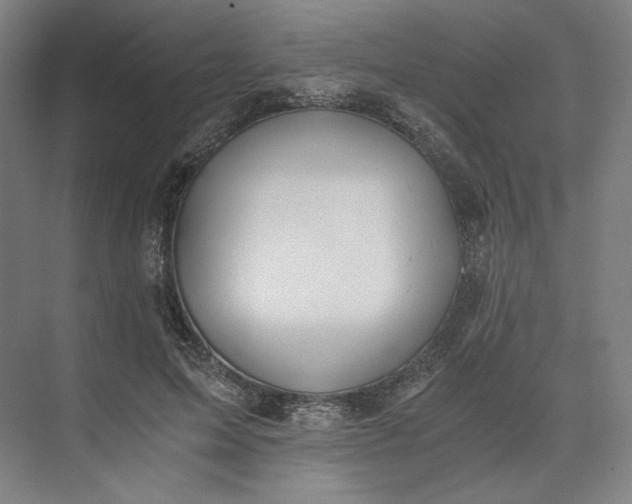 X0000073510599200608140936