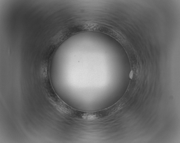 X0000073510602200608140936