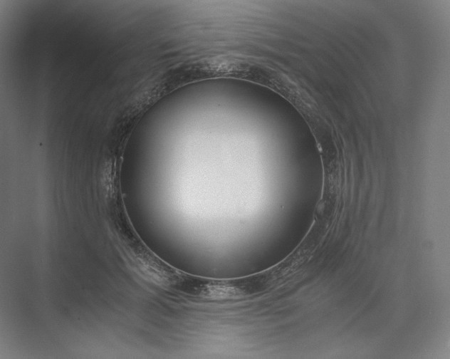 X0000073510605200608140936