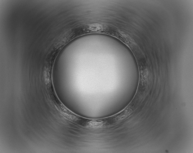 X0000073510606200608140936