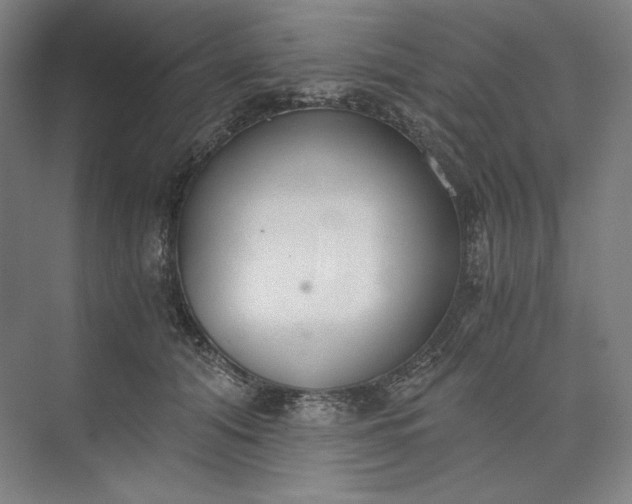 X0000073510608200608140936